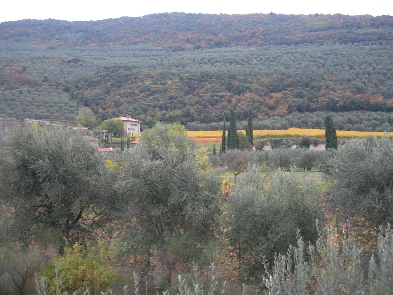 Halbmarathon Gardasee 2010 393.JPG